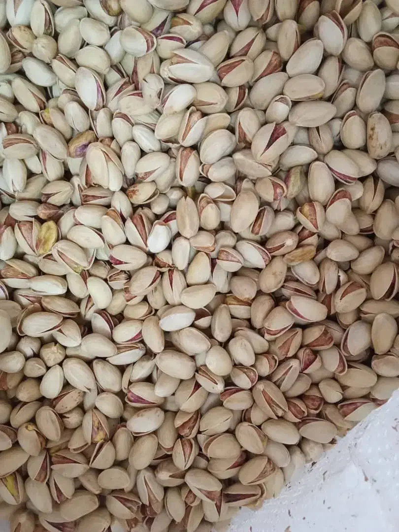 پسته خشک آجیلی|عمدهفروشی|سروستان, |دیوار
