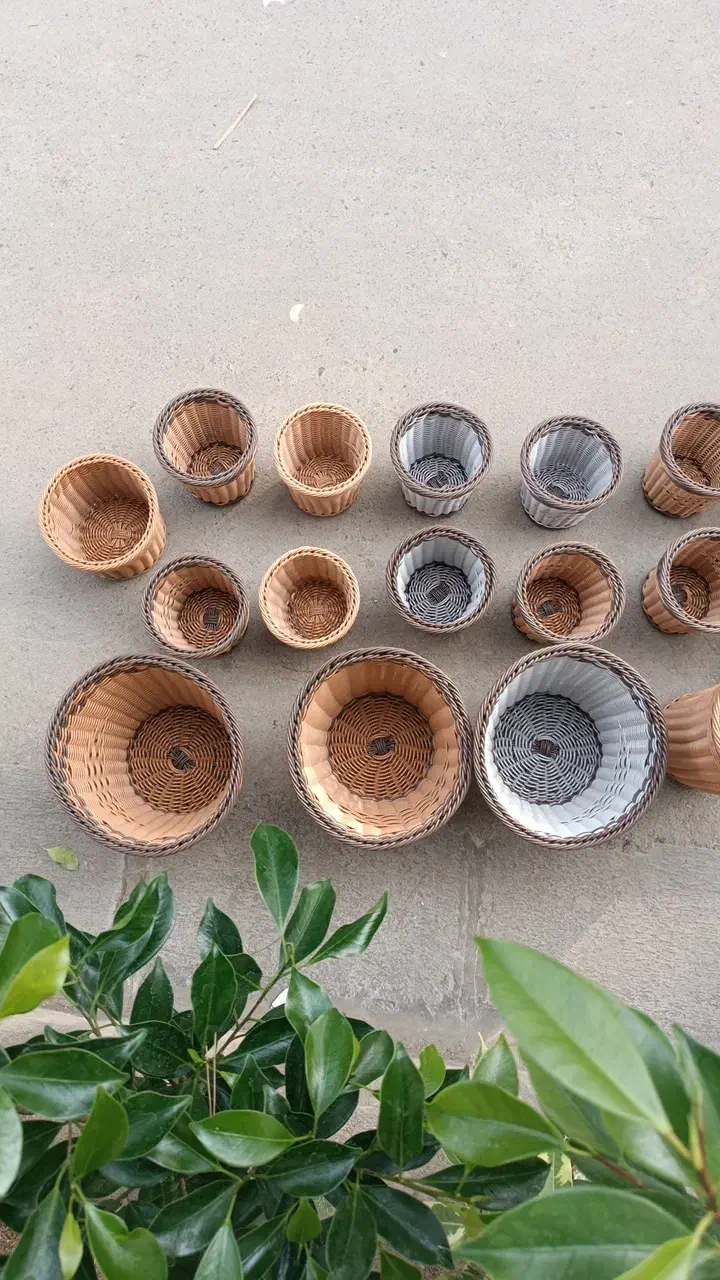 گل فروشی ابوالفضل|گل و گیاه طبیعی|پاکدشت, پاکدشت (مامازند)|دیوار