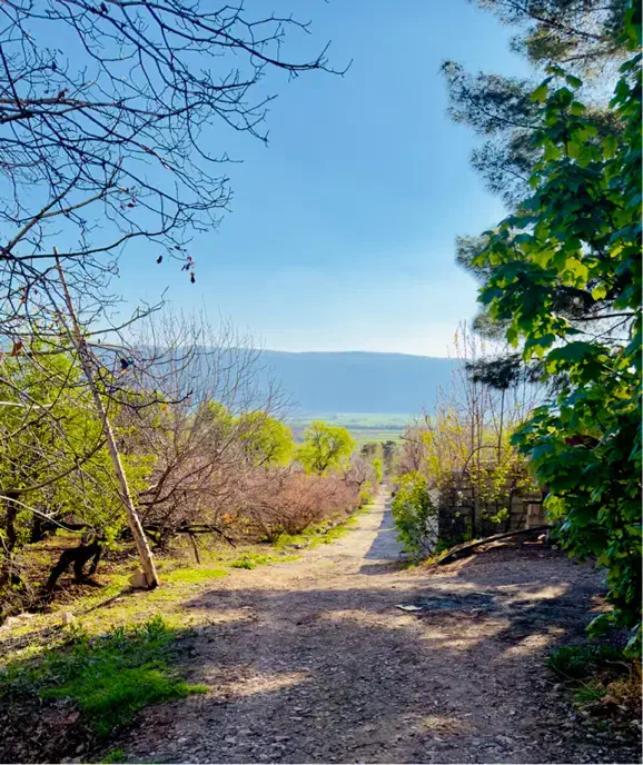 فروش باغ شهری در شهرفاروق|فروش زمین و ملک کلنگی|سیدان, |دیوار