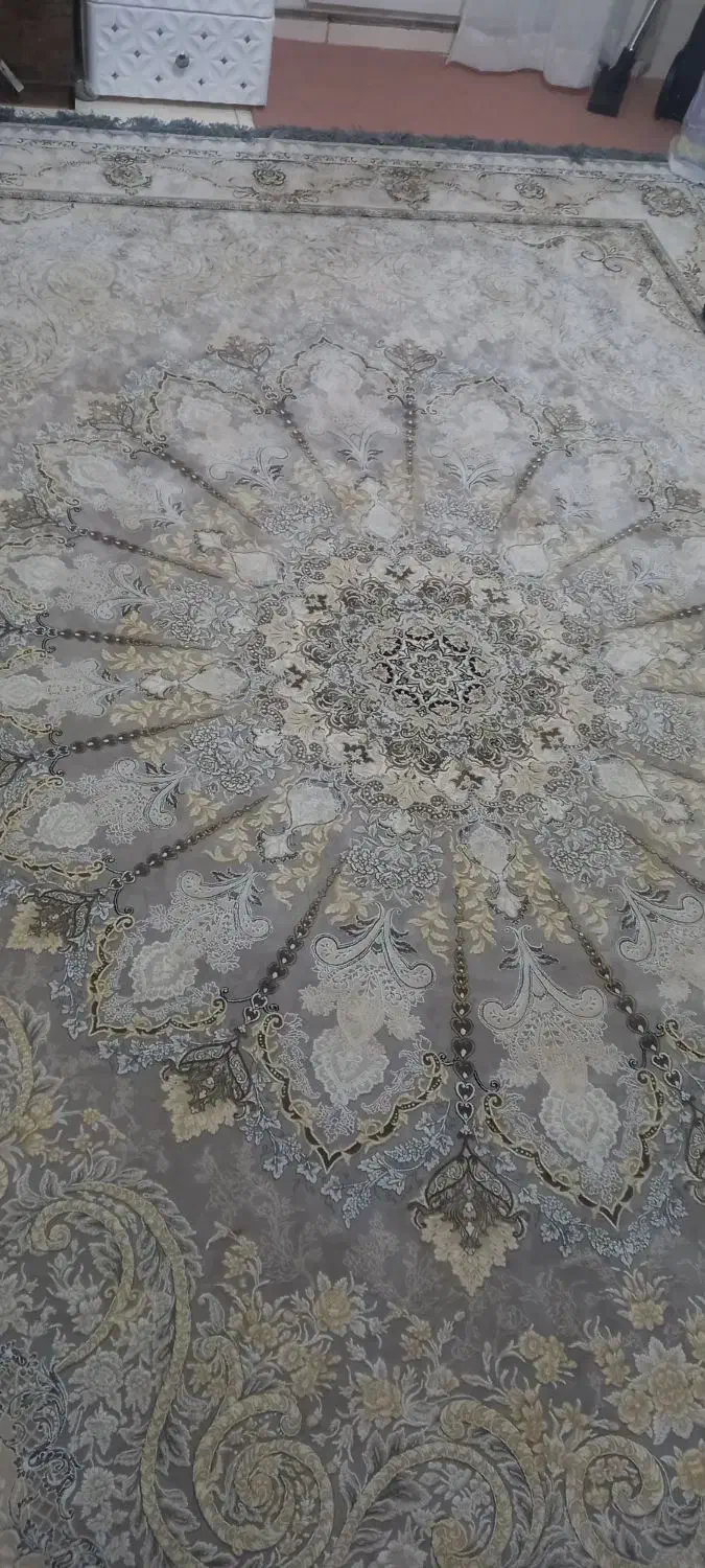 فرش|فرش|پرند, فاز ۶|دیوار