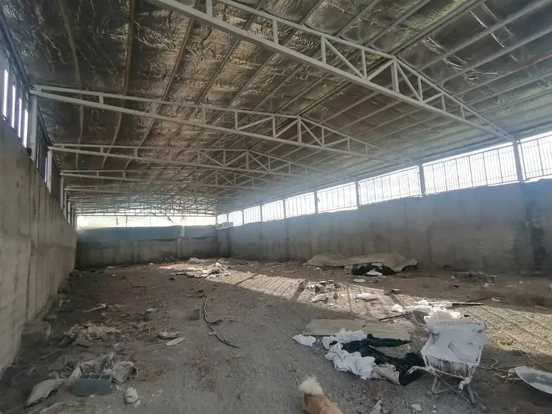 سوله|فروش دفتر صنعتی، کشاورزی، تجاری|باغستان, |دیوار