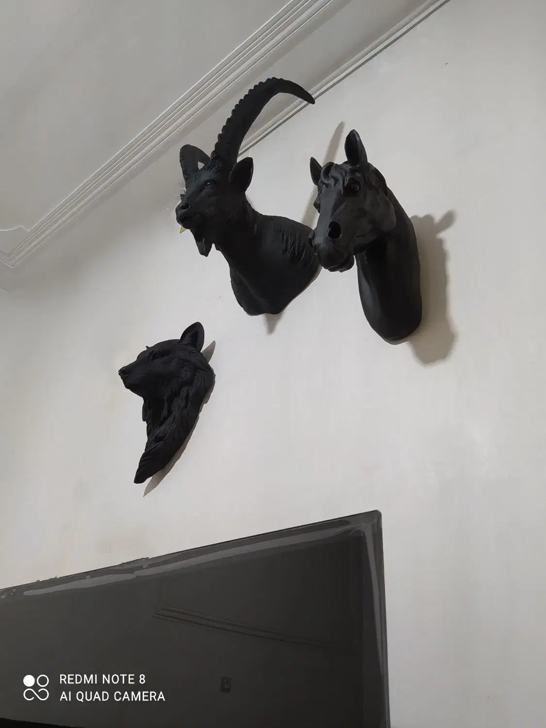 مجسمه دیوارکوب|مجسمه، تندیس، ماکت|خرمآباد, |دیوار