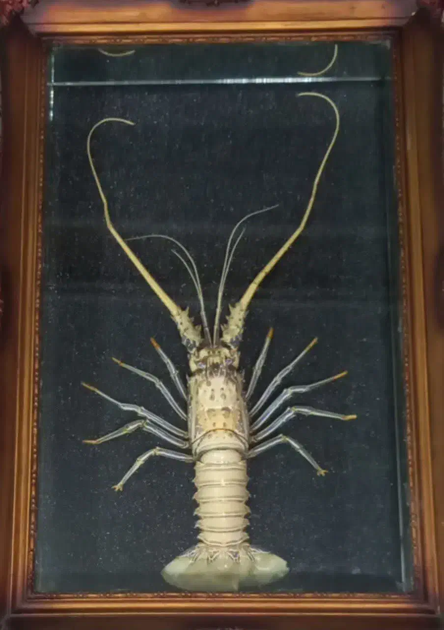 تابلو|کلکسیون اشیاء عتیقه|ری, تقی آباد|دیوار