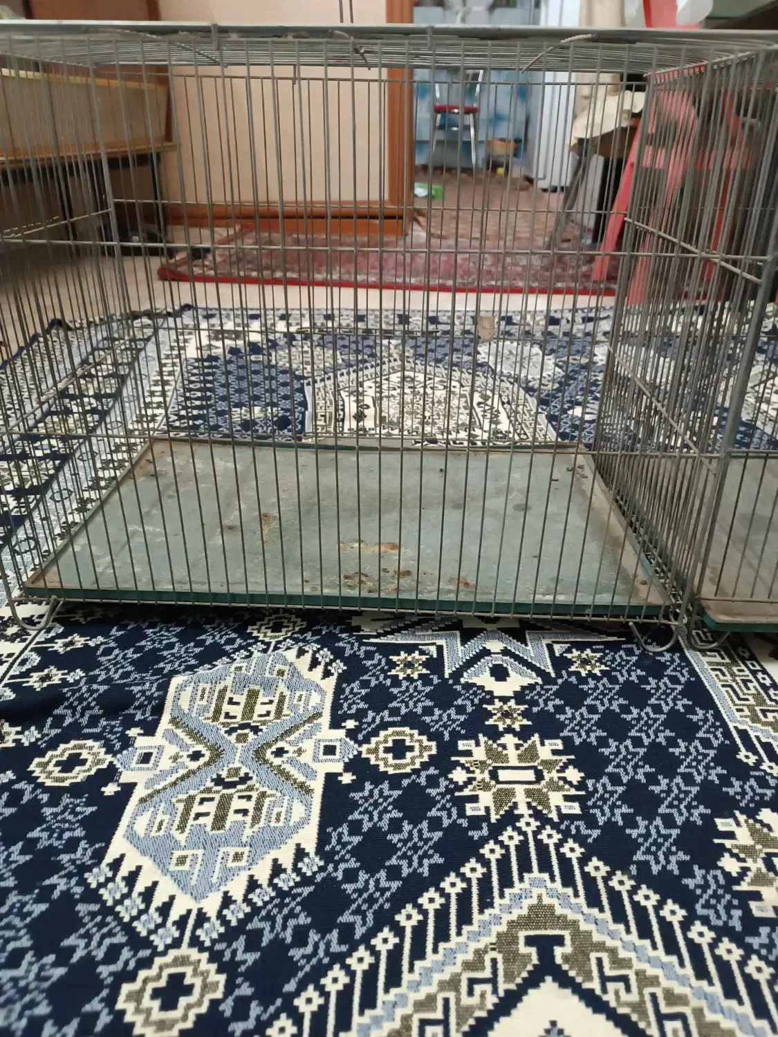 قفس قناری|لوازم جانبی حیوانات|خوی, |دیوار