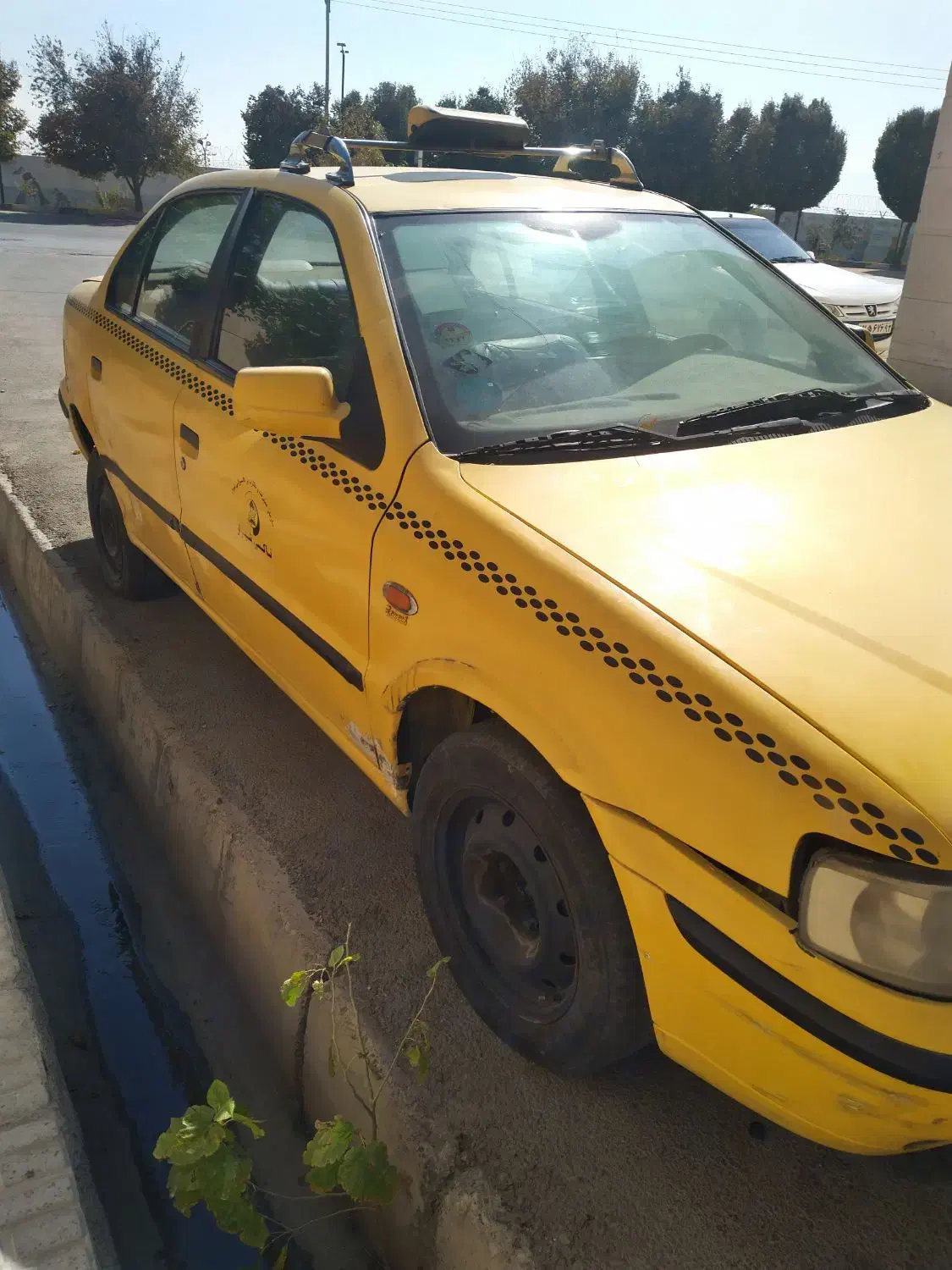 سمندتاکسی|خودرو سواری و وانت|شیراز, محراب|دیوار