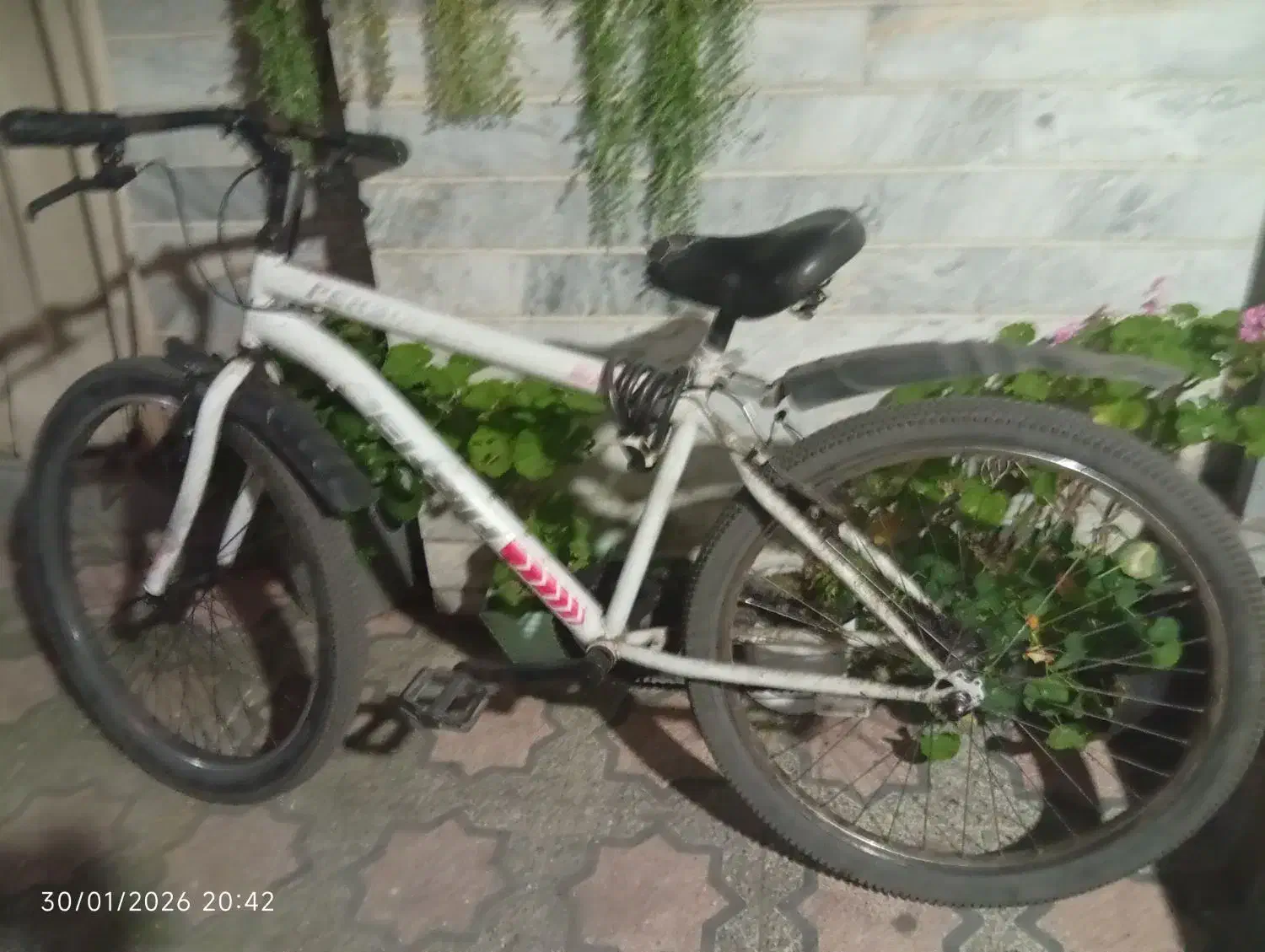 دوچرخه|دوچرخه، اسکیت، اسکوتر|رشت, سیا اسطلخ|دیوار