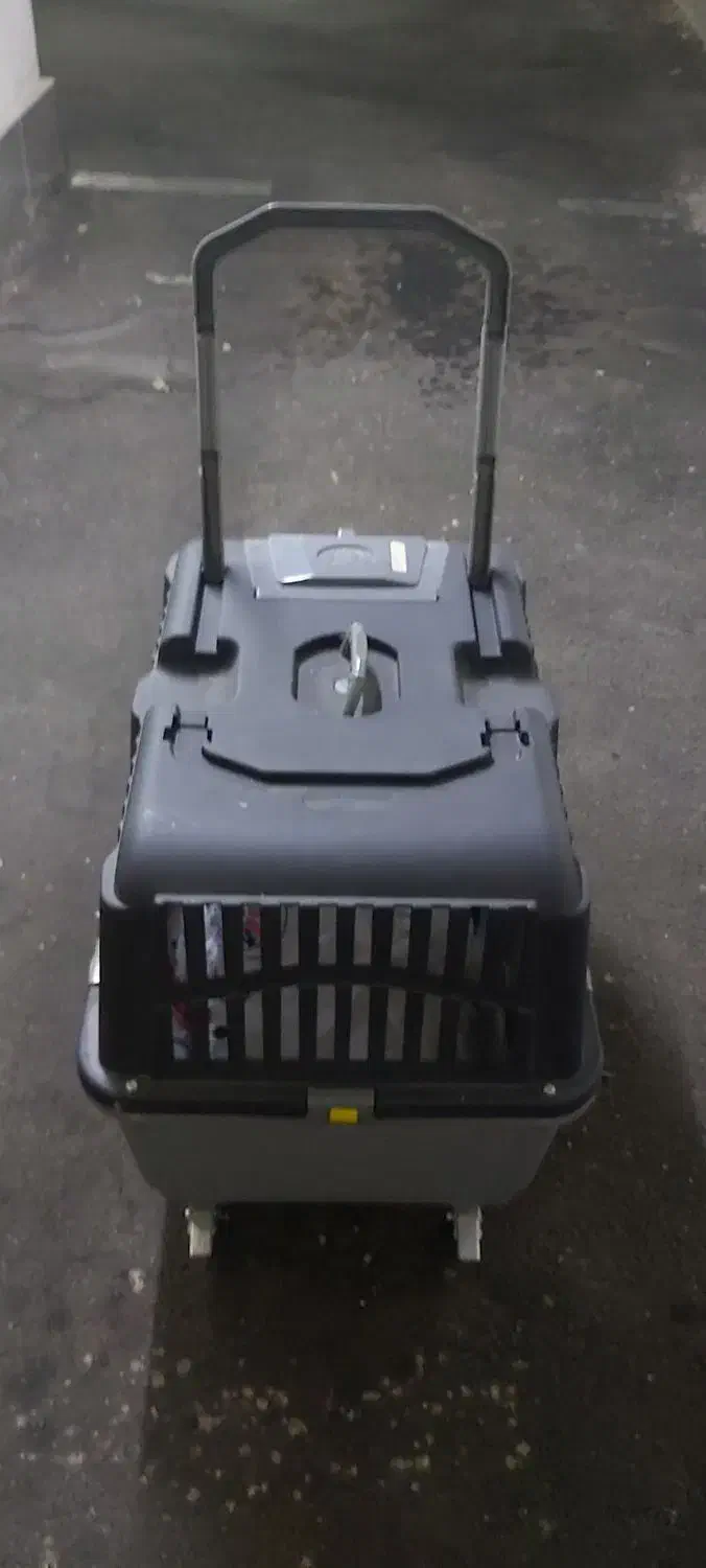 باکس حمل پت|لوازم جانبی حیوانات|تهران, شهرک آتی شهر|دیوار