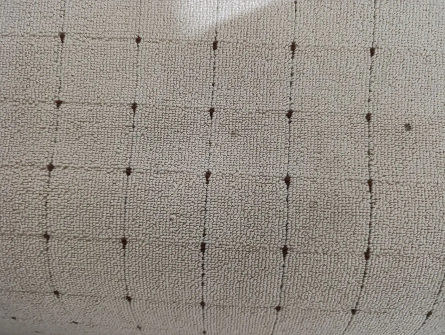 موکت تمیز|موکت|اصفهان, پوریای ولی|دیوار