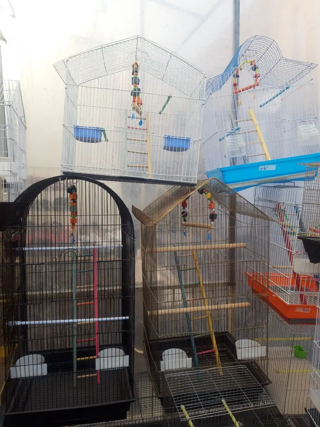 قفس های زینتی برای پرندگان زینتی|لوازم جانبی حیوانات|مرند, |دیوار
