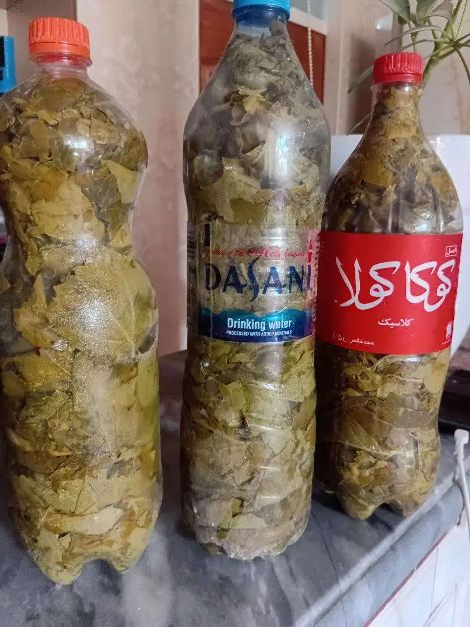 درست کردن دلمه پذیرفته میشود|خوردنی و آشامیدنی|بناب, |دیوار