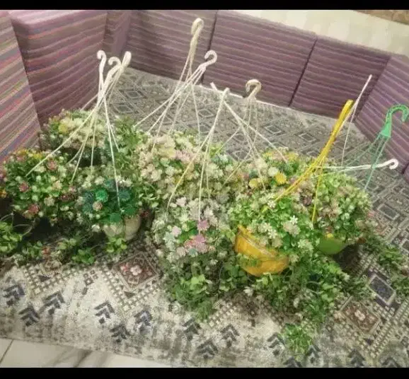 گل مصنوعی|گل مصنوعی|همدان, |دیوار