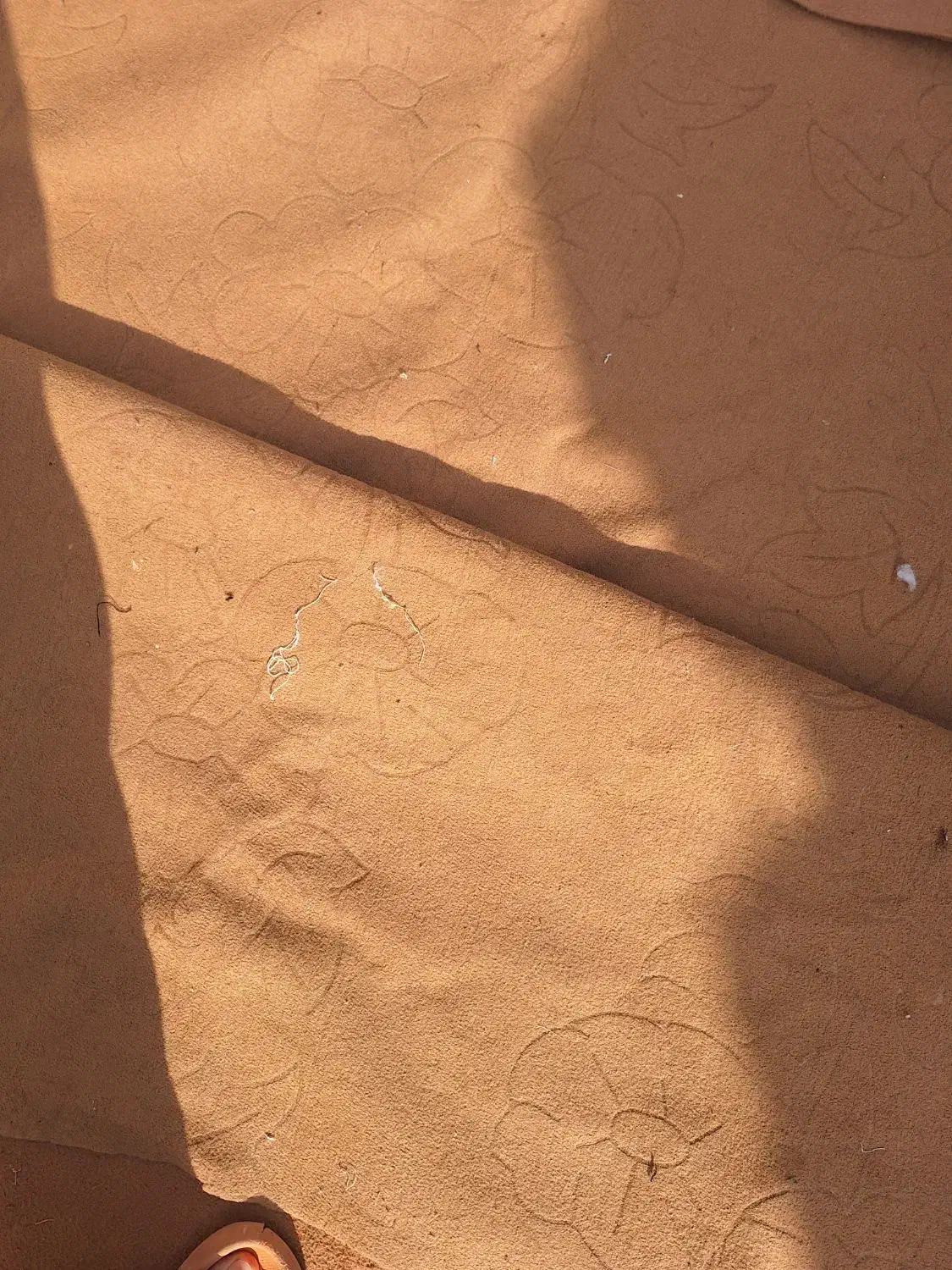 موکت ۲۰ متر|موکت|گالیکش, |دیوار