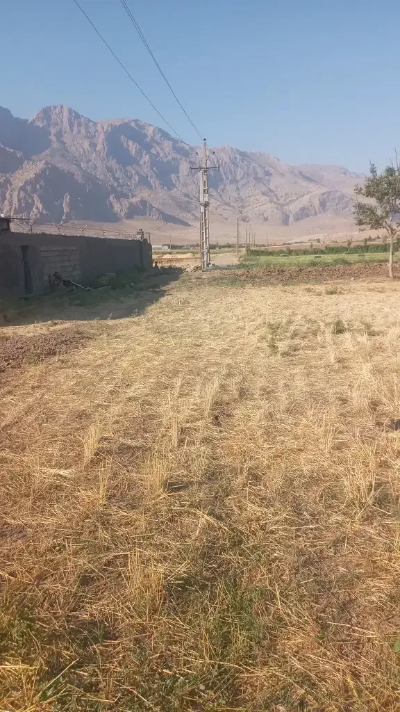 سرارود۱۰۰۰ متر زمین مربعی|فروش زمین و ملک کلنگی|کرمانشاه, |دیوار