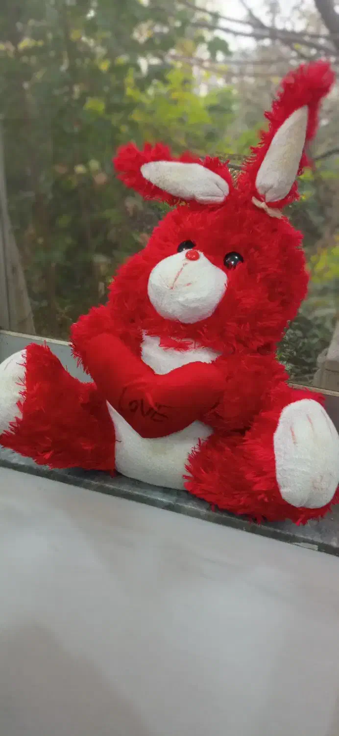 عروسک خرسی ولنتاین|اسباب‌‌بازی|رشت, فلسطین|دیوار