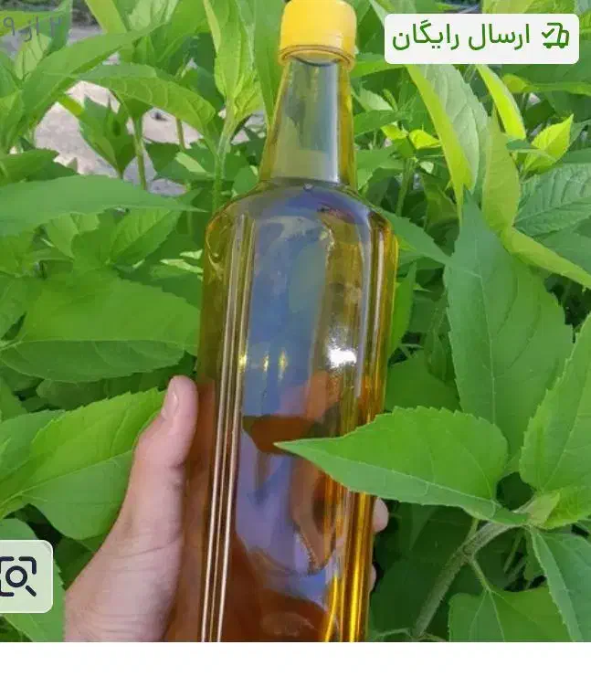 پخش روغن زیتون بی بو و بودار به تمام نقاط|آرایشی، بهداشتی، درمانی|رشت, نیروی دریایی|دیوار