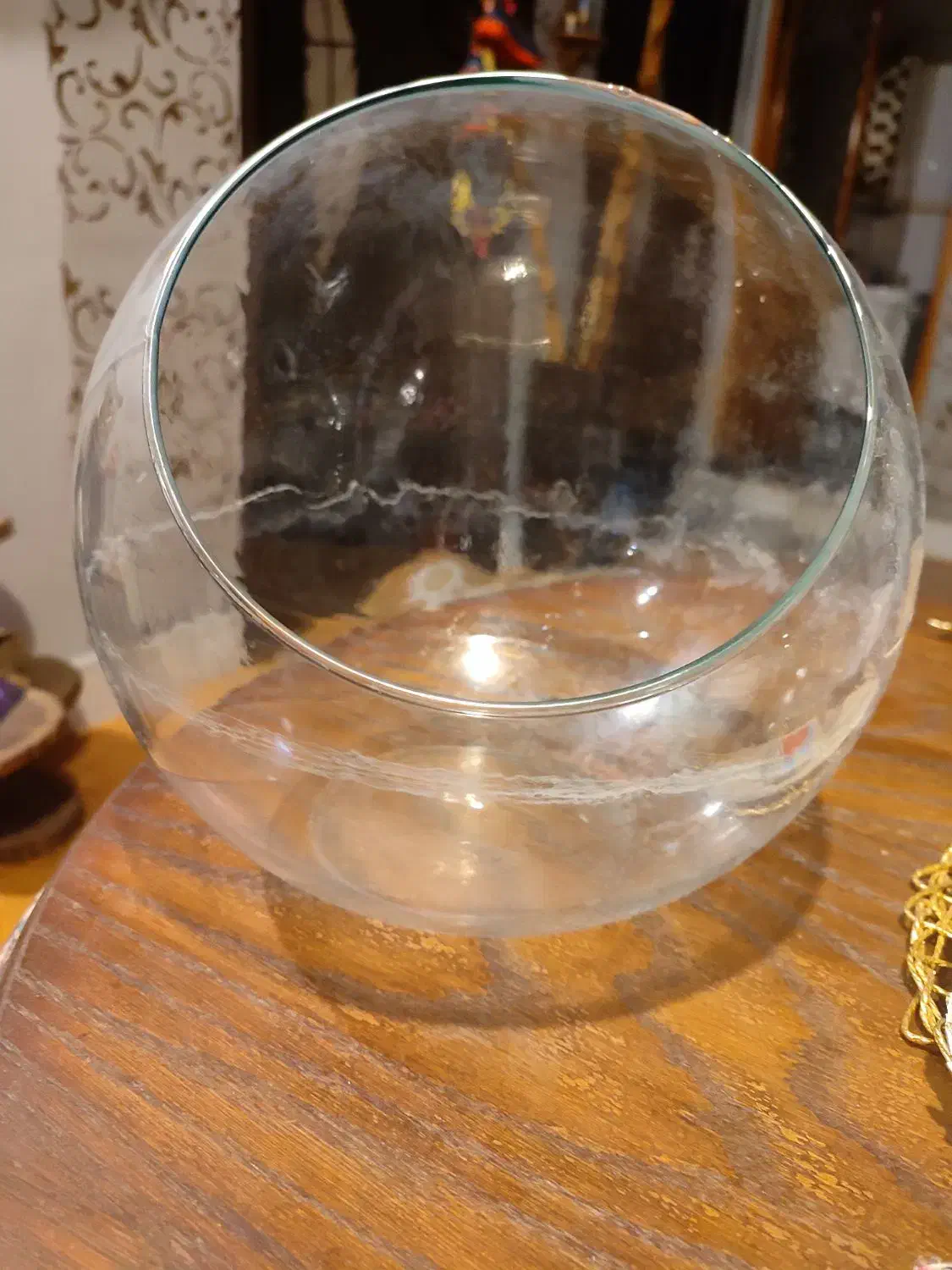 تراریوم کوچک|ماهی|صدرا-فارس, فاز ۱|دیوار