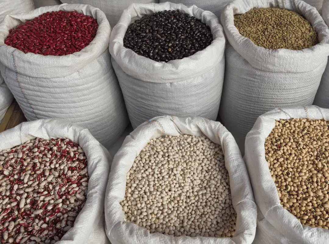 تامین حبوبات نخود عدس چیتی ذرت و بلبلی|خوردنی و آشامیدنی|تهران, قیطریه|دیوار