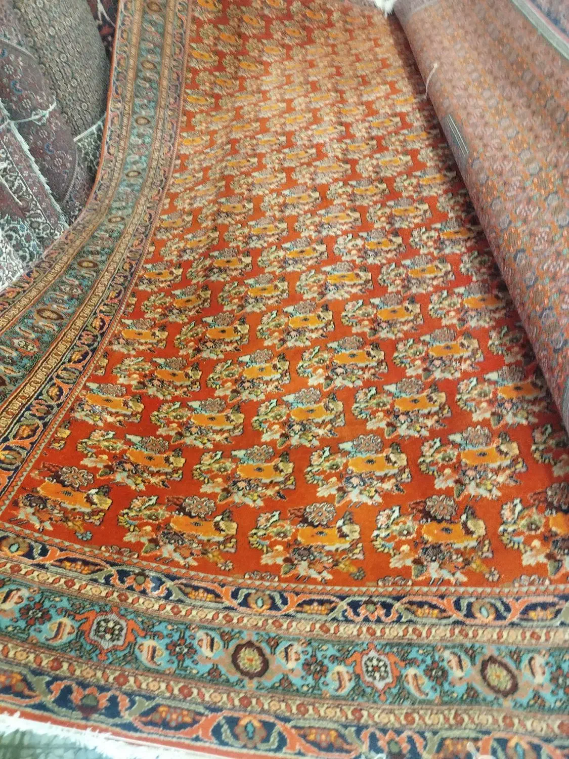 خریدار فرشهای دستبافت کارکرده ونو|فرش|همدان, |دیوار