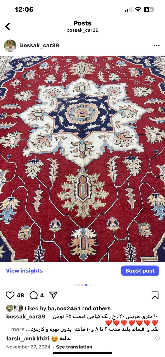 فرش دستباف (بساک در کرج )هریس ۹ متری ۴۰ رج زیبا|فرش|تهران, پیکان شهر|دیوار