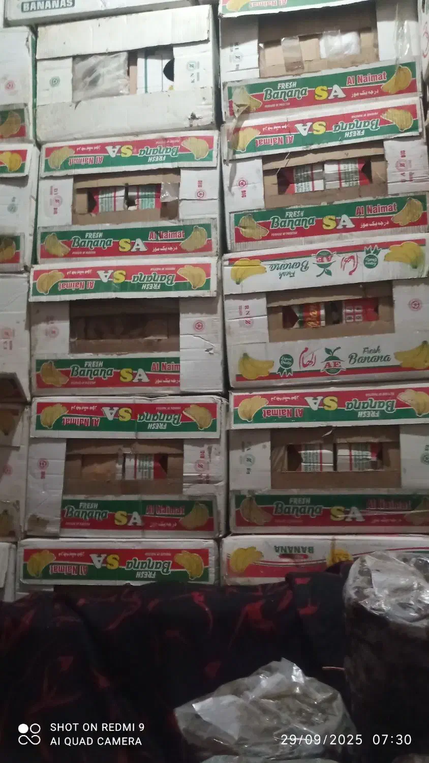 فروش کارتون  موزی|خوردنی و آشامیدنی|جیرفت, |دیوار