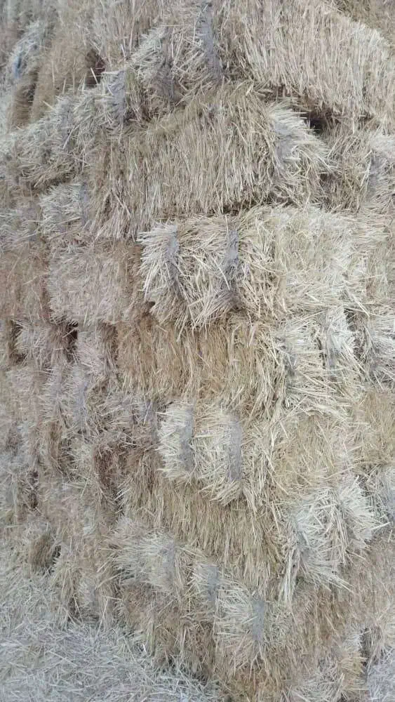 فروش سیفال گندم (کاه گندم)|لوازم جانبی حیوانات|یزد, |دیوار