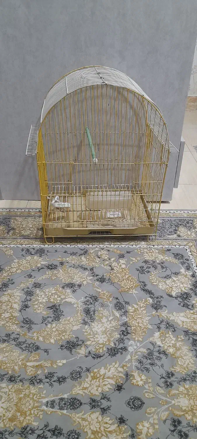 قفس مرغ عشق|لوازم جانبی حیوانات|رشت, ولکس|دیوار