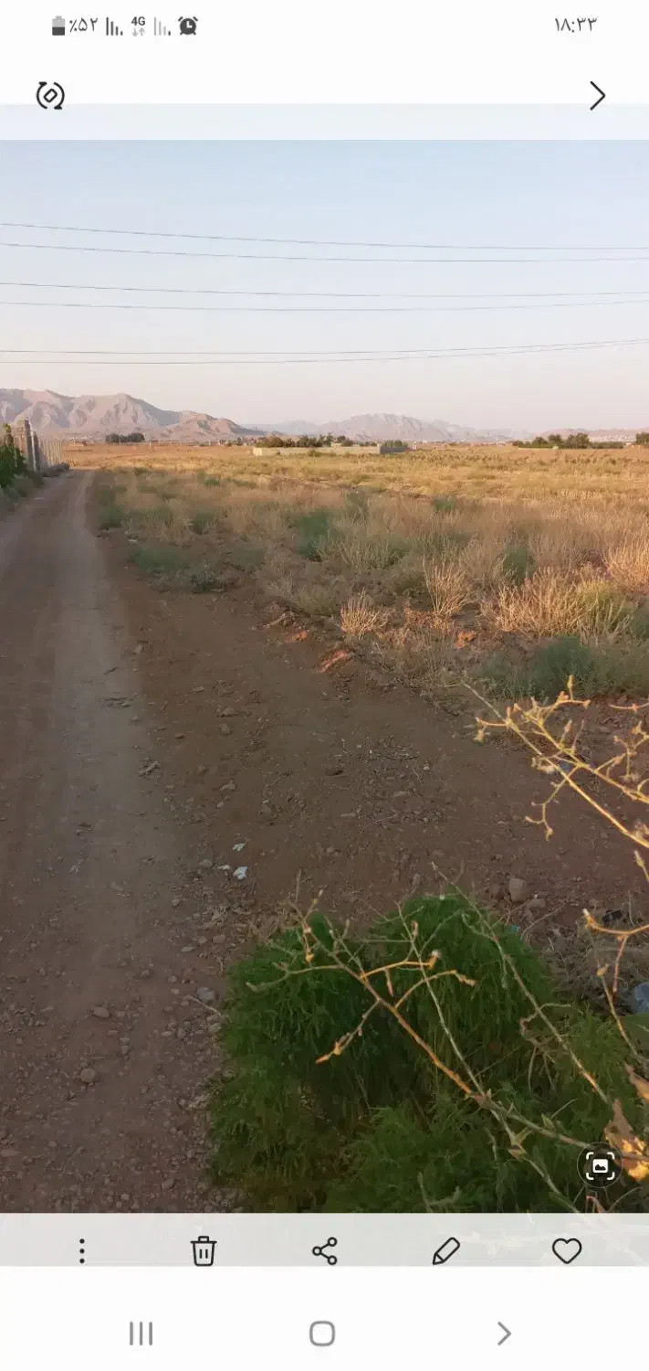 زمین کشاورزی و باغی|فروش زمین و ملک کلنگی|لنجان, |دیوار