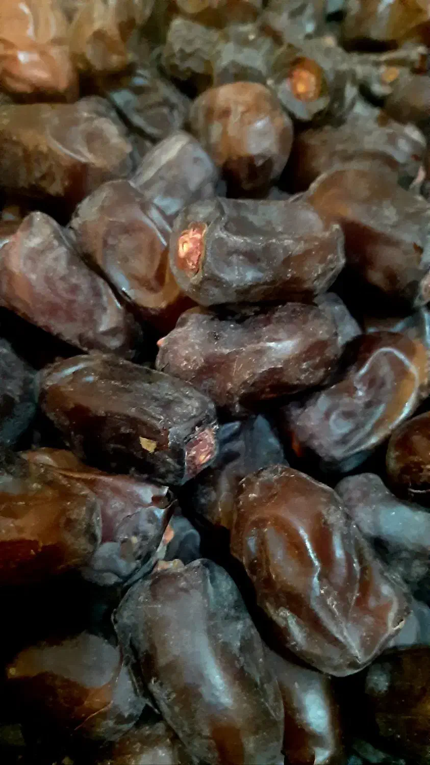 خرمای مضافتی ارگانیک کارخونه نرفته|خوردنی و آشامیدنی|شیراز, باغ تخت|دیوار