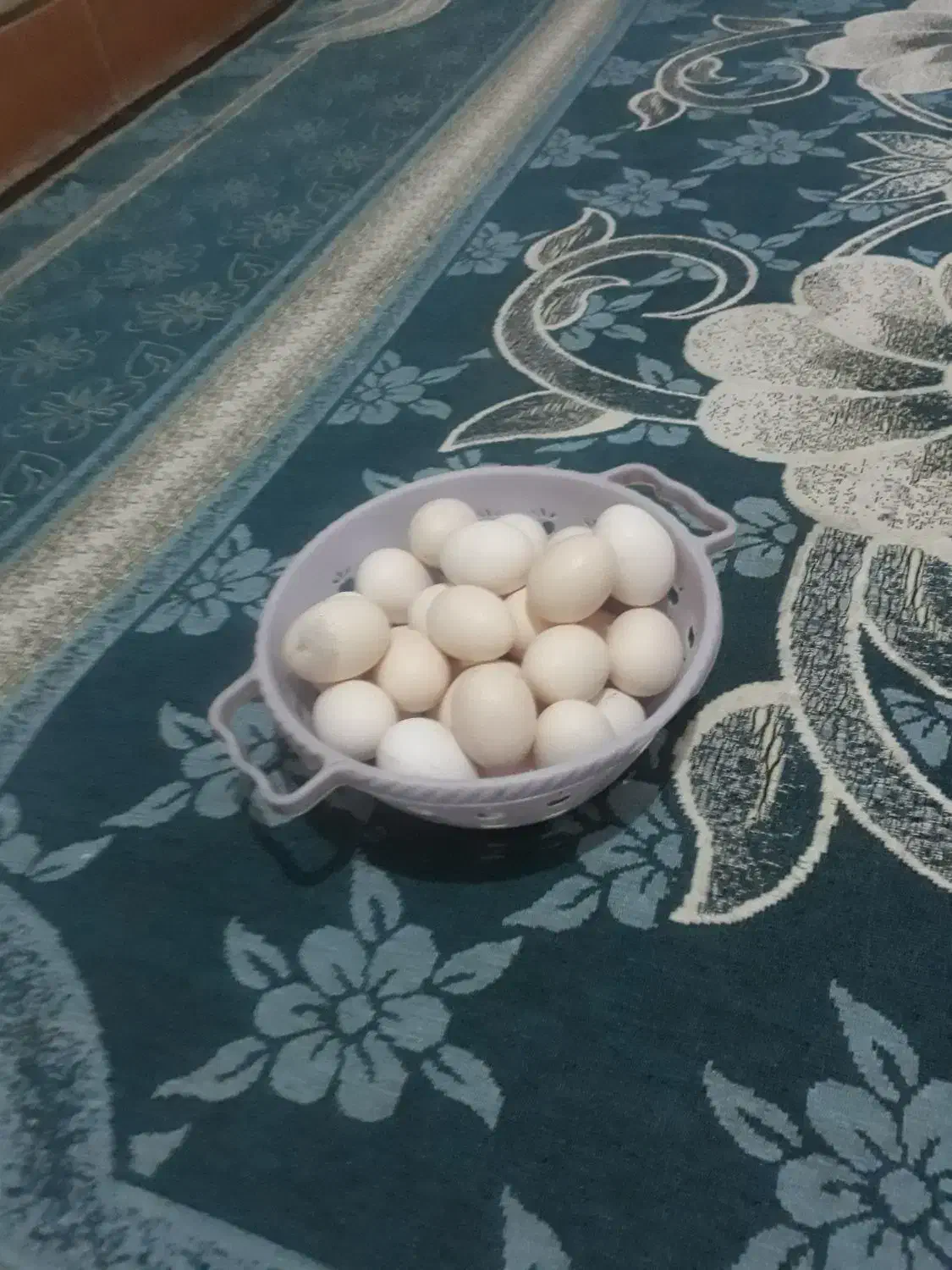 تخم مرغ|خوردنی و آشامیدنی|شوشتر, |دیوار