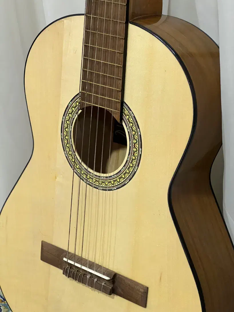 گیتار کلاسیک (Hohner H20 (Handmade|گیتار، بیس، امپلیفایر|بوکان, |دیوار