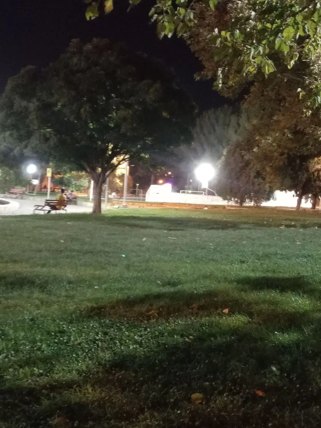 انگشتر مردانه گم کردم|جواهرات|بیرجند, |دیوار