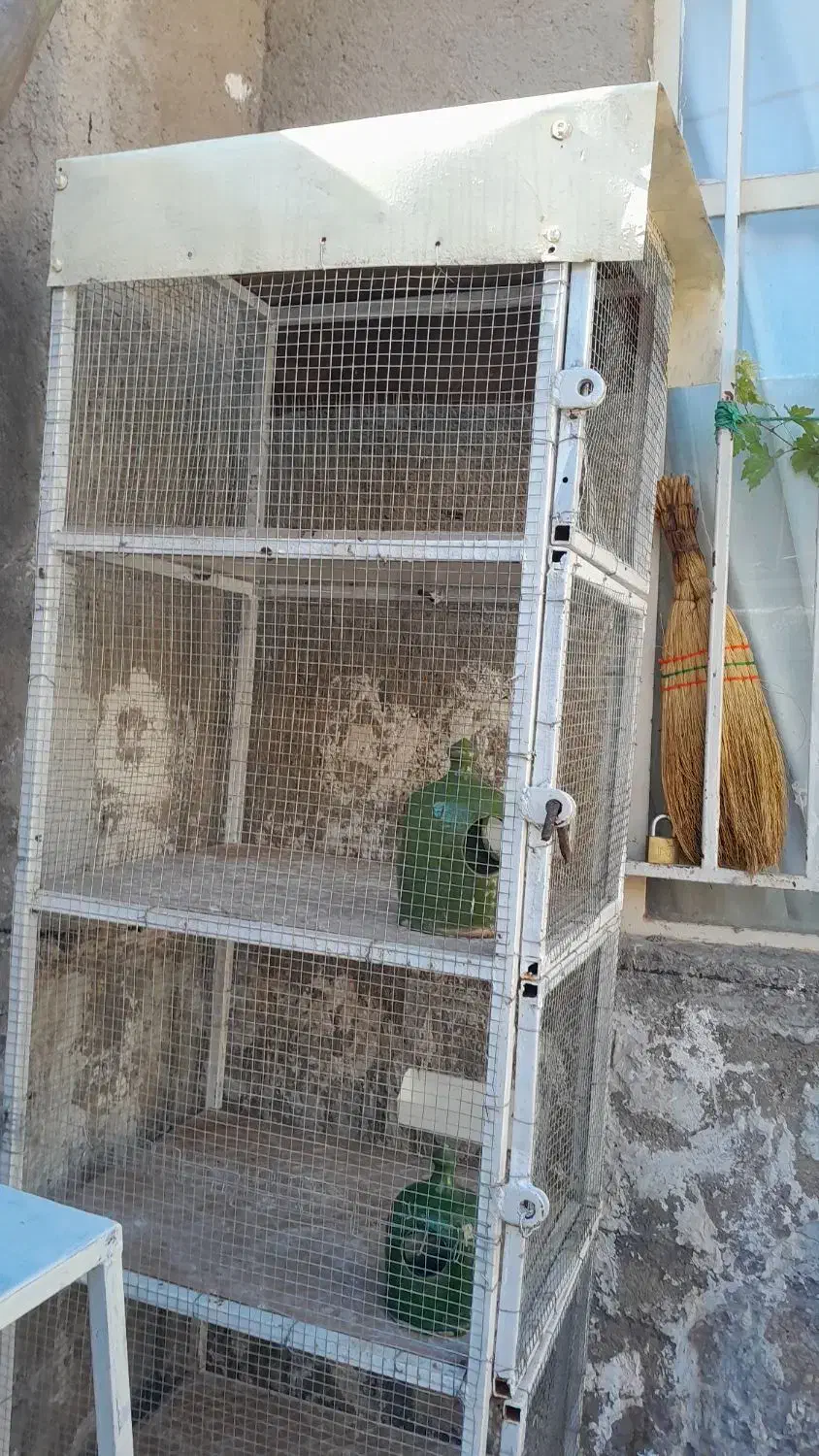 فروشی جفتی محکم تمیز،تورریز بافت|لوازم جانبی حیوانات|بوئین زهرا, |دیوار