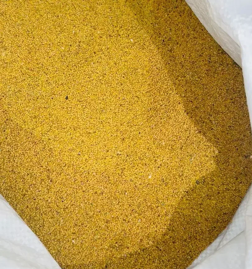 بذر یونجه درجه ۱|گل و گیاه طبیعی|کهنوج, |دیوار