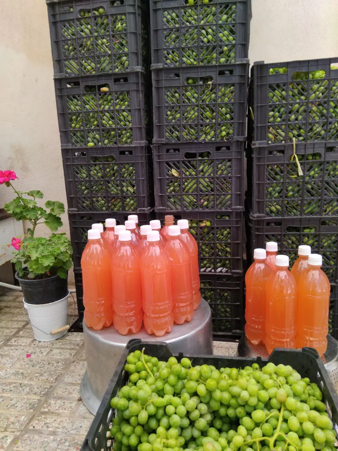 آبغوره کاملاطبیعی|خوردنی و آشامیدنی|کرج, محمود آباد|دیوار