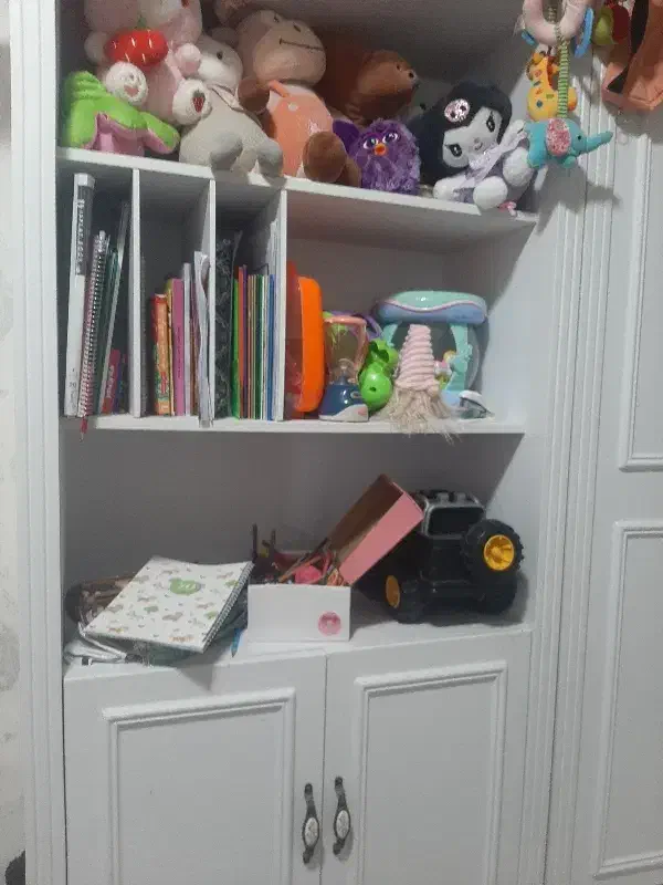 ویترین یا کتابخانه|کتابخانه، شلف، قفسه‌های دیواری|زاهدان, |دیوار