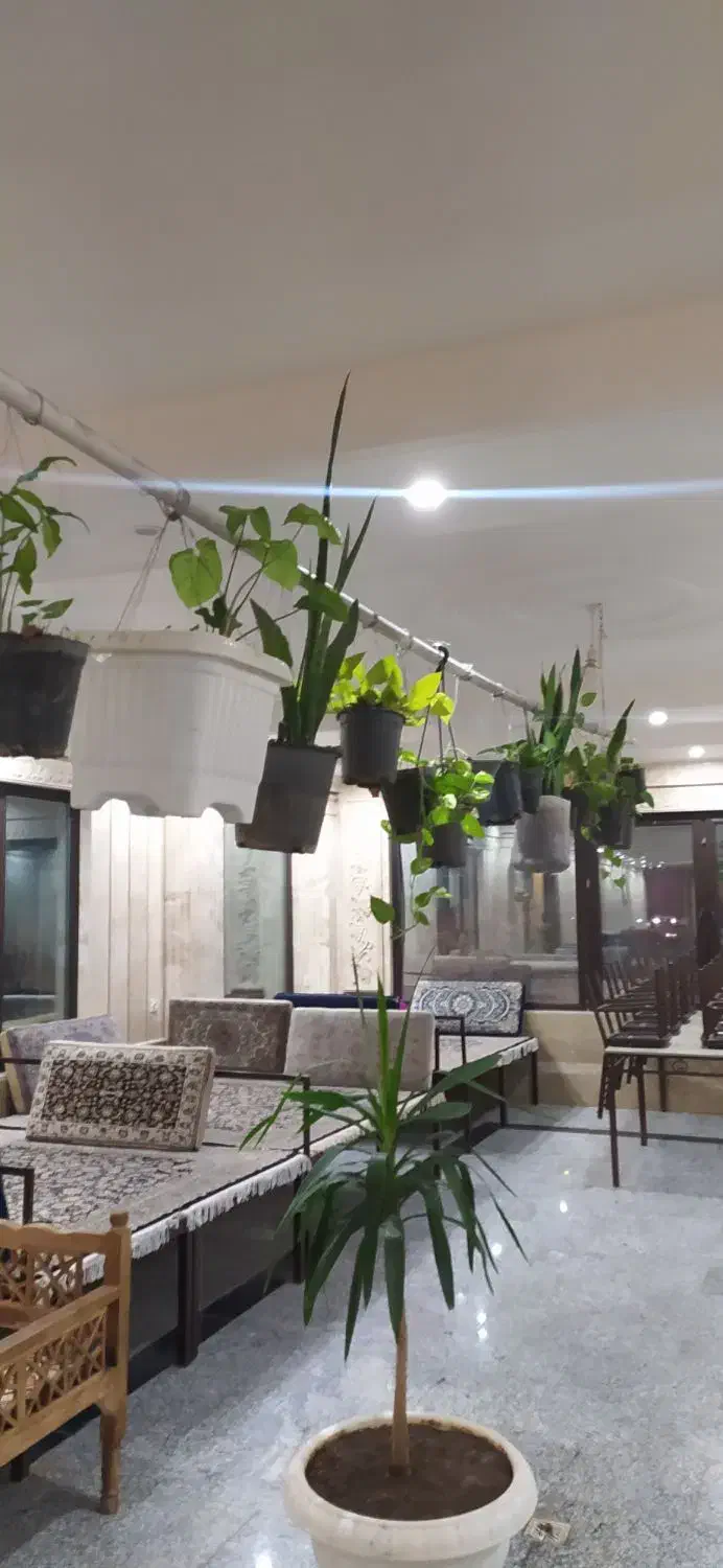 گل گیاه تزیینی.|گل و گیاه طبیعی|کهک, |دیوار