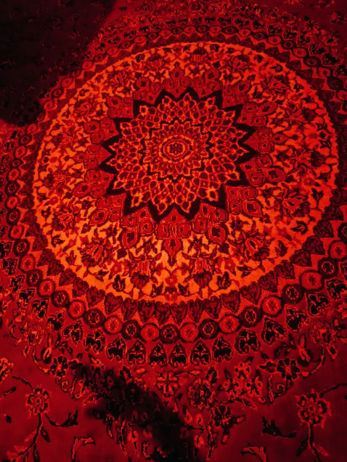 فرش قرمز|فرش|اصفهان, باغ زرشک|دیوار