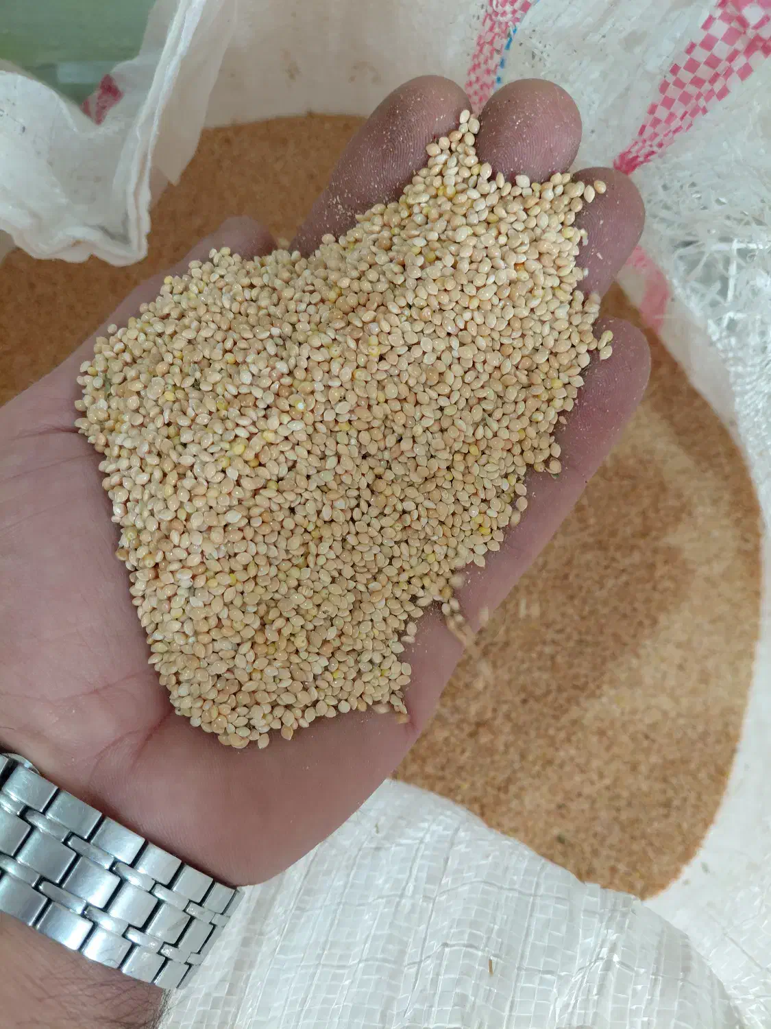 ارزن درشت ایرانی سورت شده تمیز|لوازم جانبی حیوانات|قدس, شهر‌قدس|دیوار