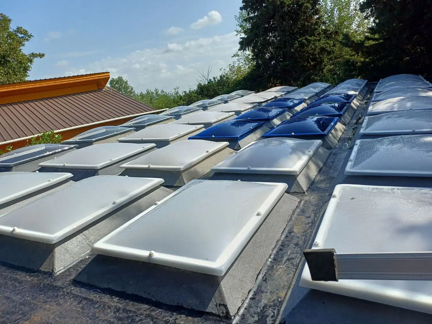 تولید پخش ونصب نورگیر حبابی|خدمات پیشه و مهارت|تهران, تهرانسر مرکزی|دیوار