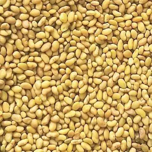 بذریونجه|حیوانات مزرعه|شیراز, آزادگان|دیوار