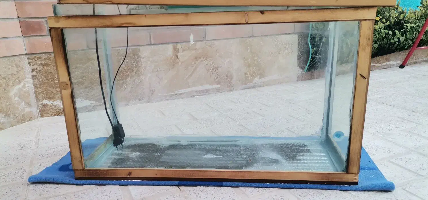 آکواریوم|ماهی|محمدیه-قزوین, |دیوار