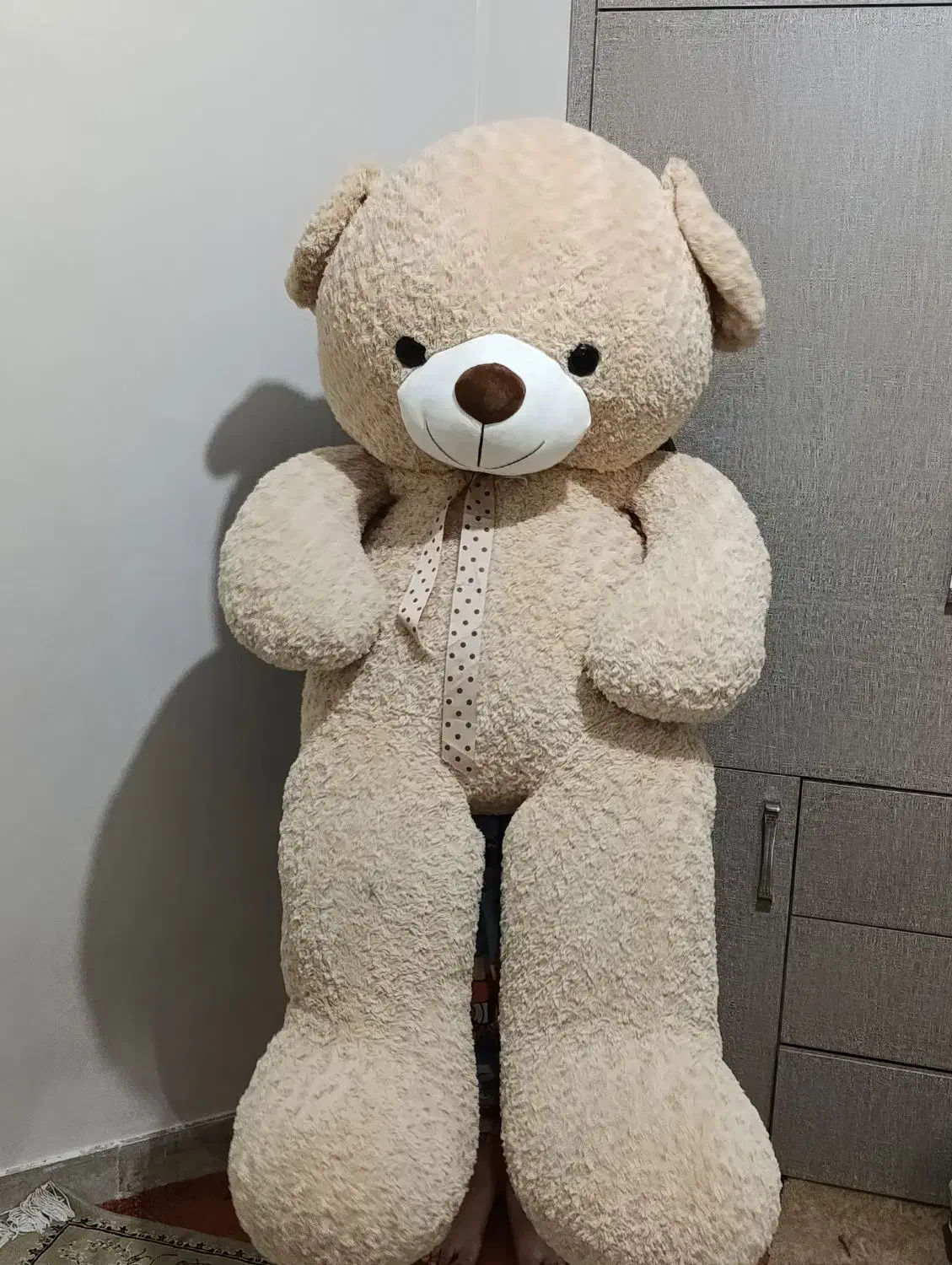 خرس شاسخین|اسباب‌‌بازی|ابهر, |دیوار