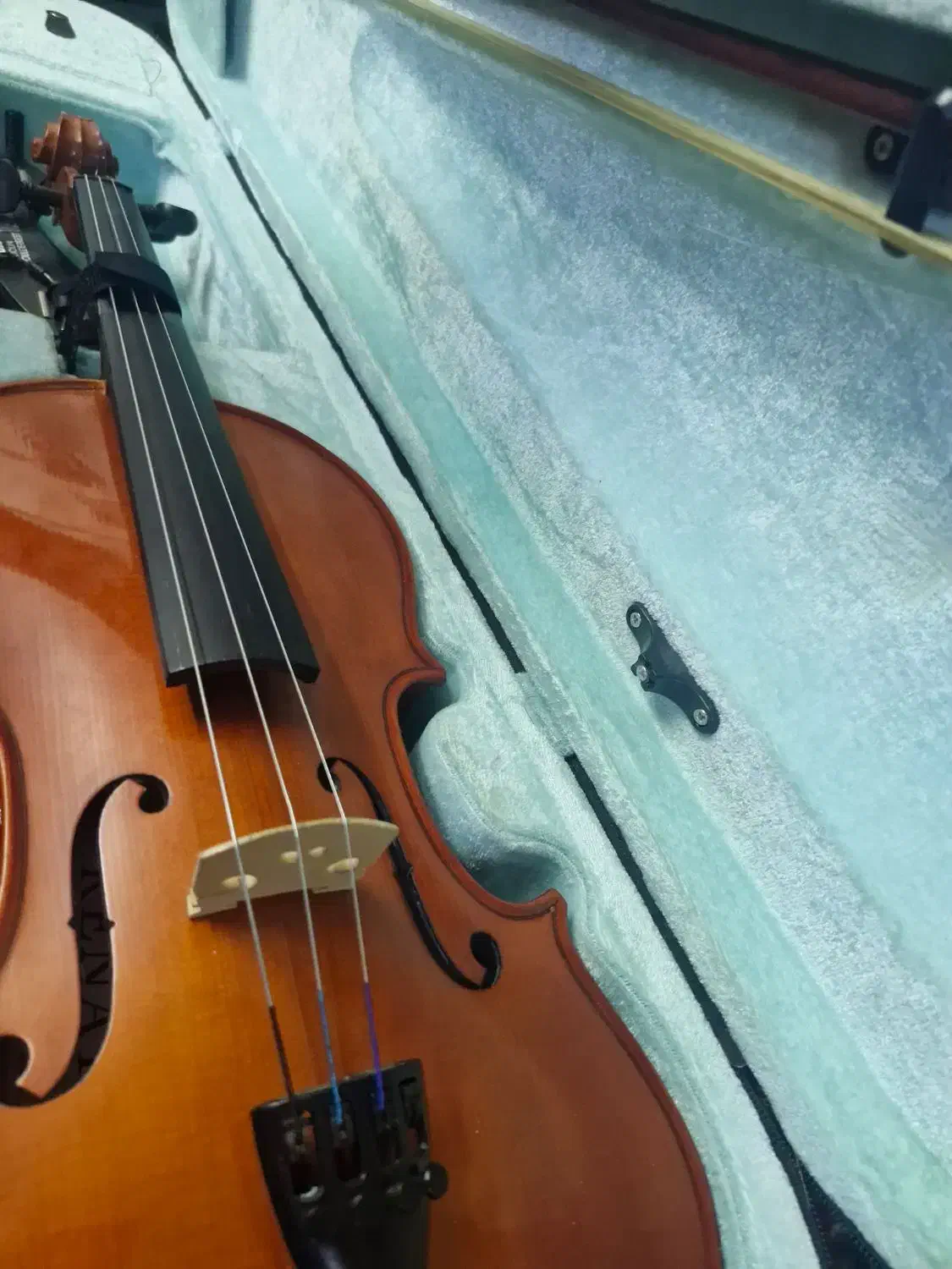 ویولن|ویولن|سلماس, |دیوار