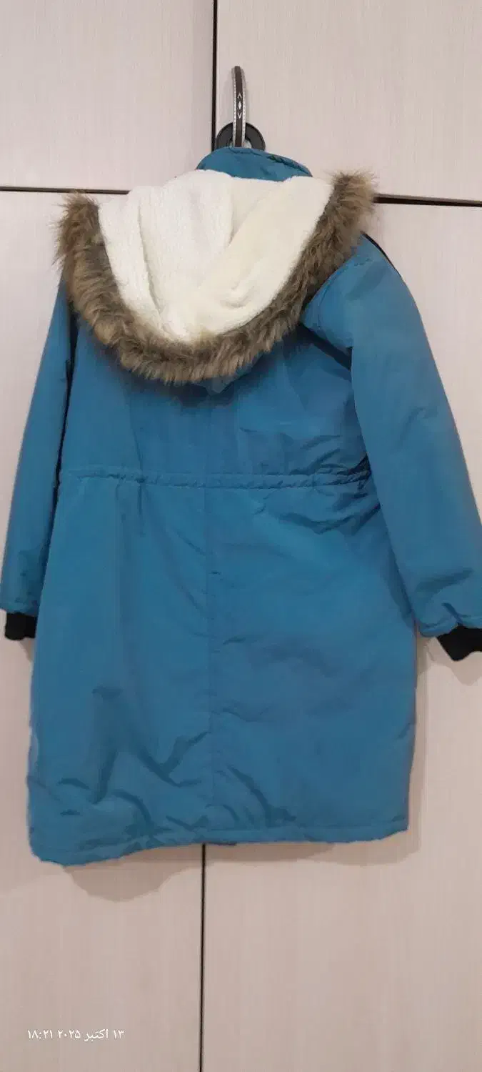 پالتو|لباس|بندر ماهشهر, |دیوار