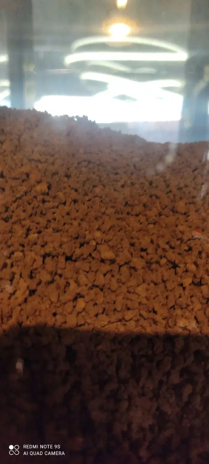 پخش قهوه. دله. اهواز|عمدهفروشی|اهواز, کوی مهدیس|دیوار