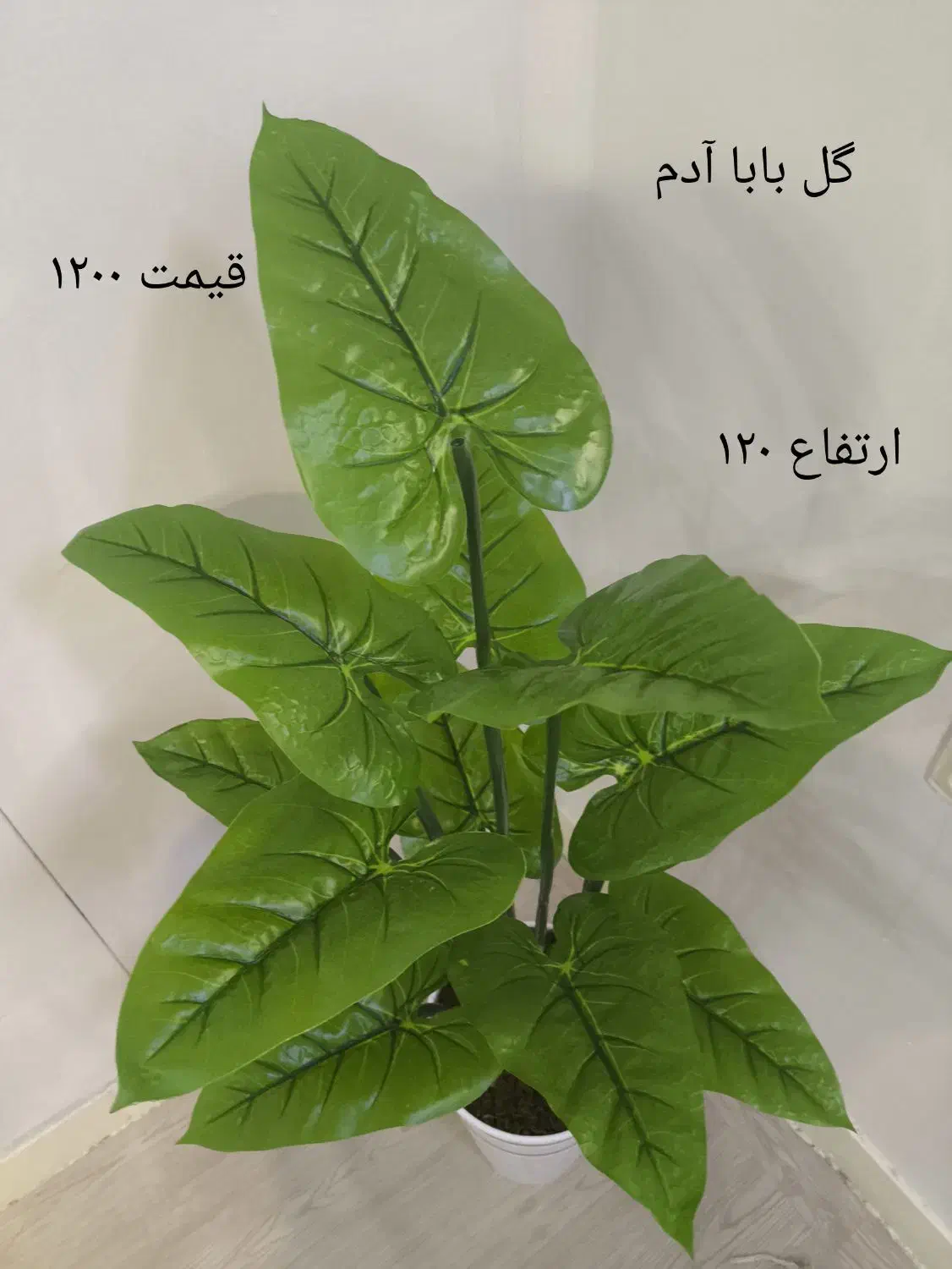 گل مصنوعی|گل مصنوعی|تهران, هاشم‌آباد|دیوار