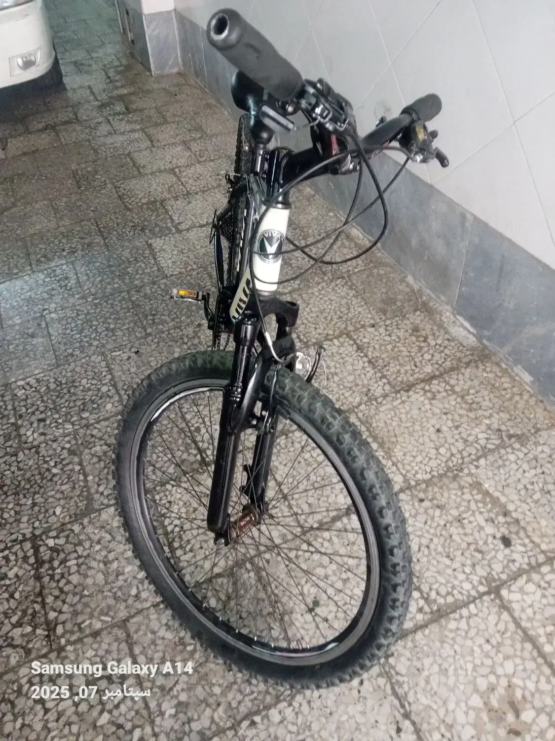 ورزشی|دوچرخه، اسکیت، اسکوتر|تهران, درختی|دیوار