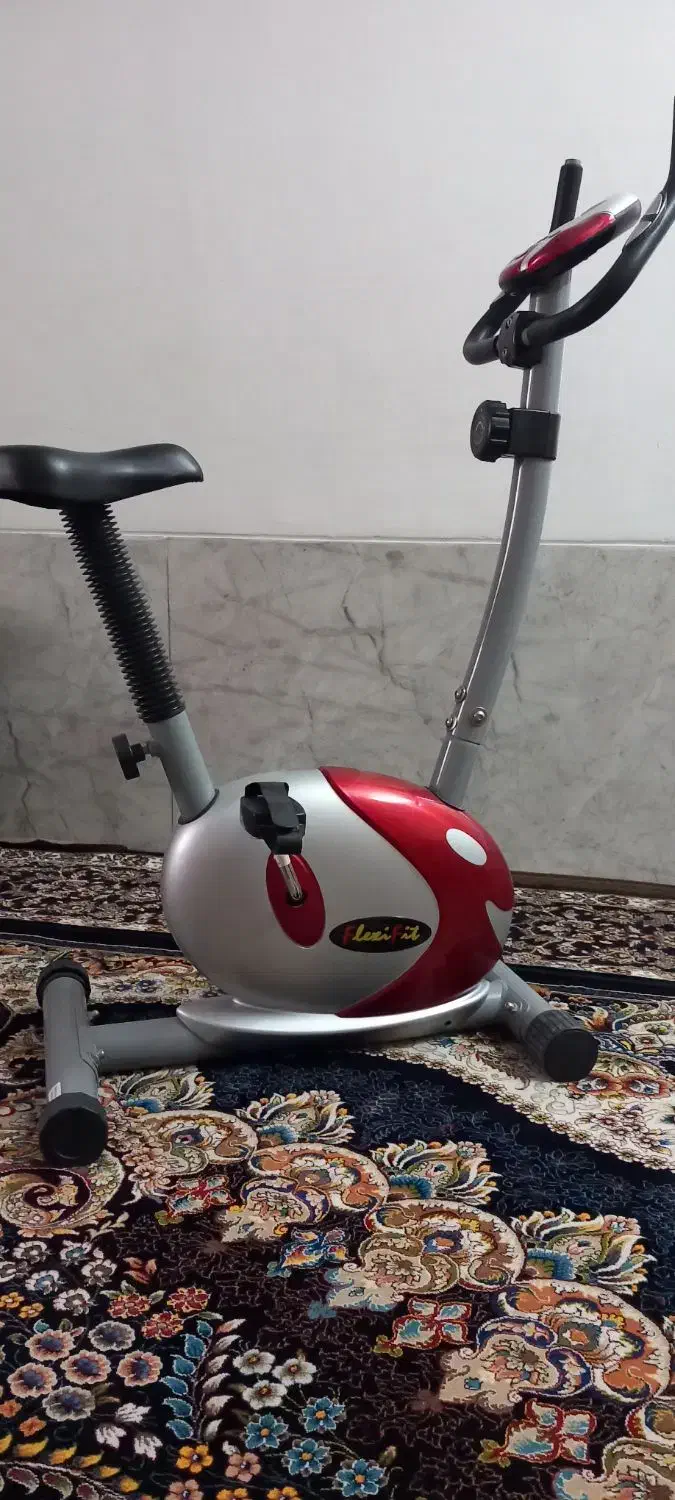 دو چرخه ورزشی ثابت|تجهیزات ورزشی|جهرم, |دیوار