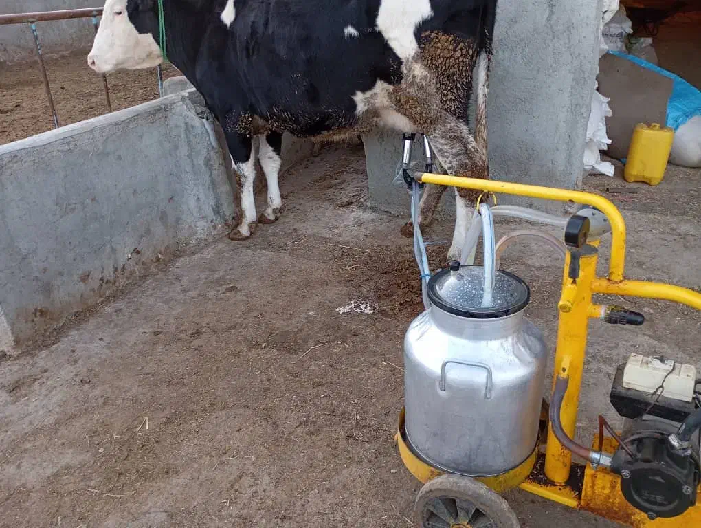 شیردوش|ماشین‌آلات صنعتی|گرمی, |دیوار