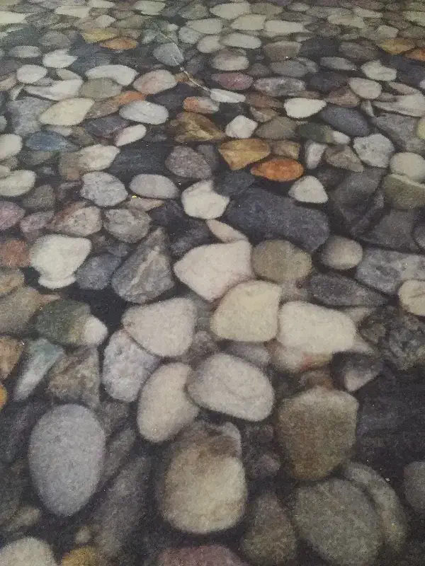 موکت|موکت|مشهد, آیت الله خامنهای|دیوار